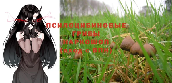 мескалин Алексин