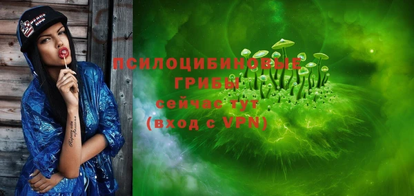 ешки Алексеевка
